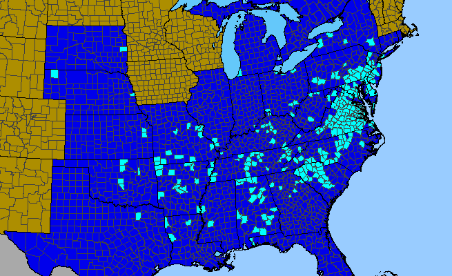 The range of Veronica hederifolia